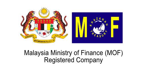 Ministry of Finance registered company